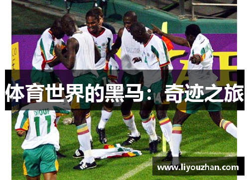 体育世界的黑马：奇迹之旅